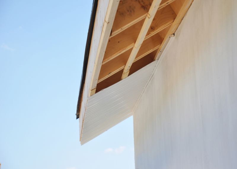 Garage Fascia Repair in Overland Park, KS